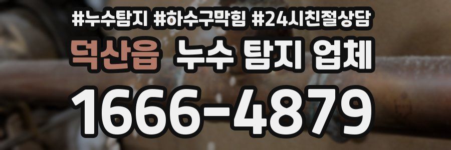 덕산읍 누수 탐지 업체