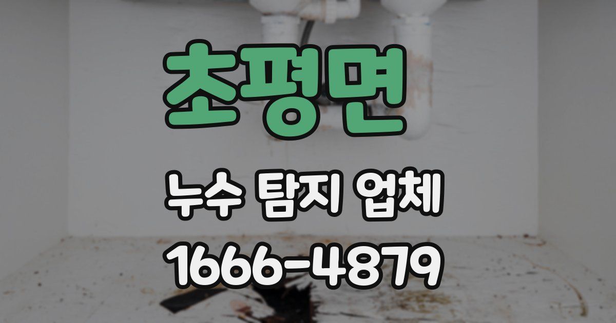 초평면 누수 탐지 업체