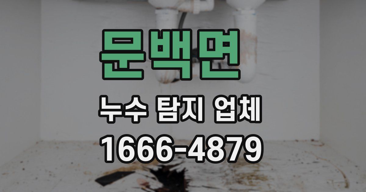 문백면 누수 탐지 업체