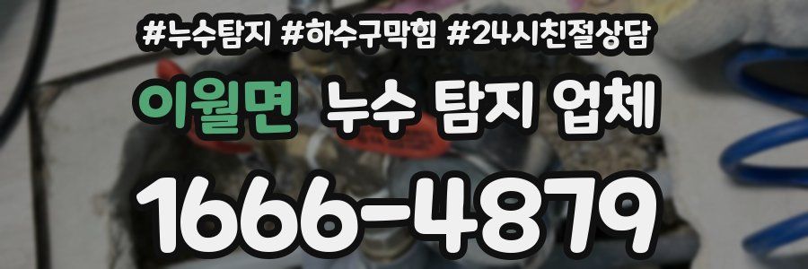 이월면 누수 탐지 업체