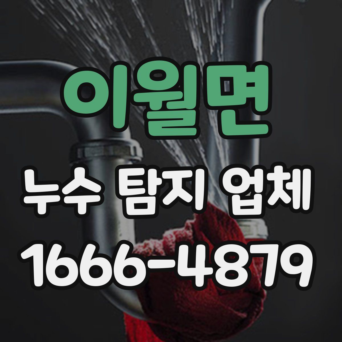 이월면 누수 탐지 업체