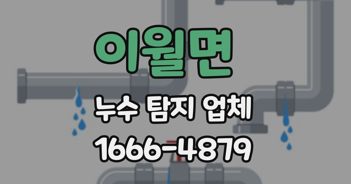 이월면 누수 탐지 업체
