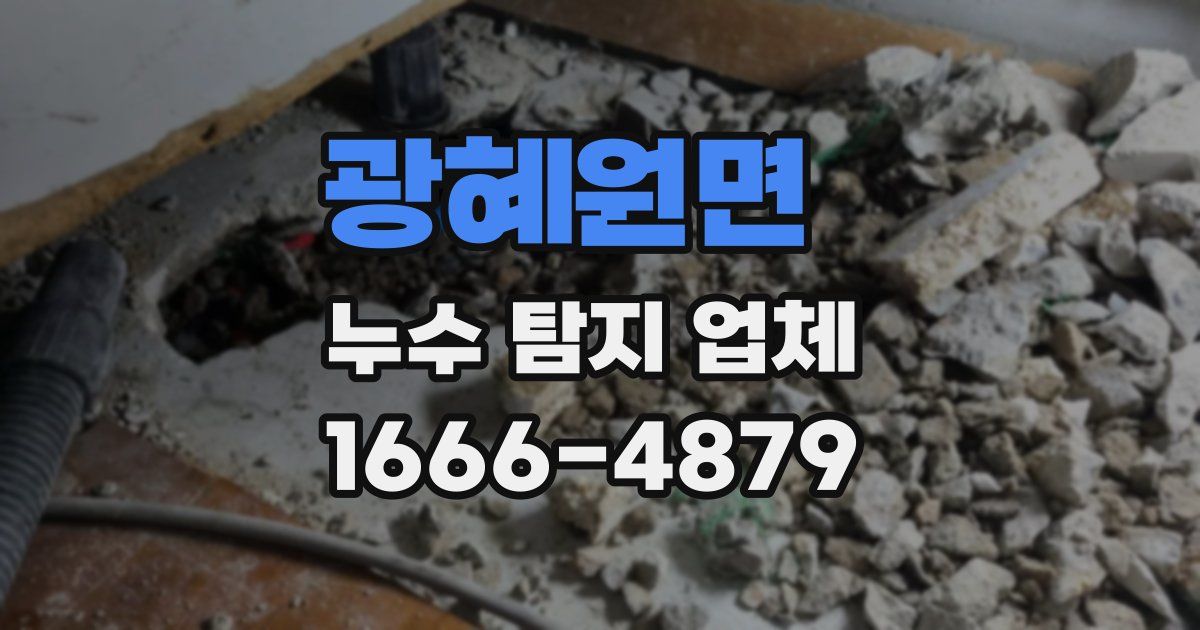 광혜원면 누수 탐지 업체