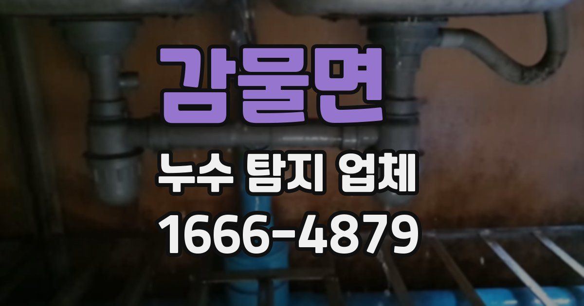 감물면 누수 탐지 업체