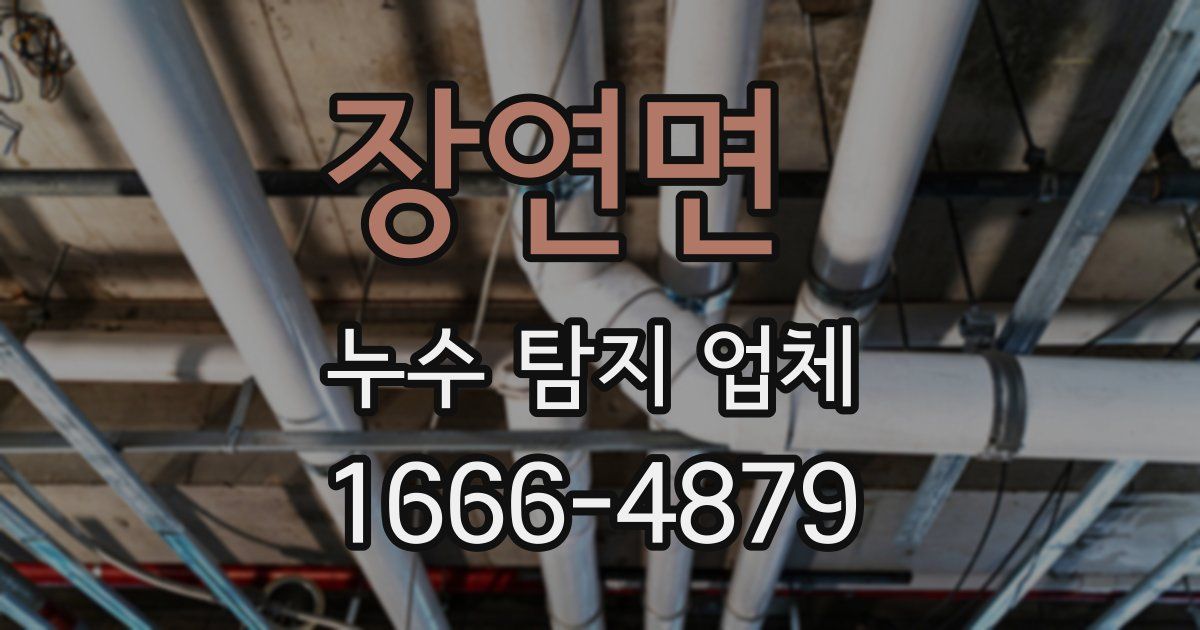 장연면 누수 탐지 업체