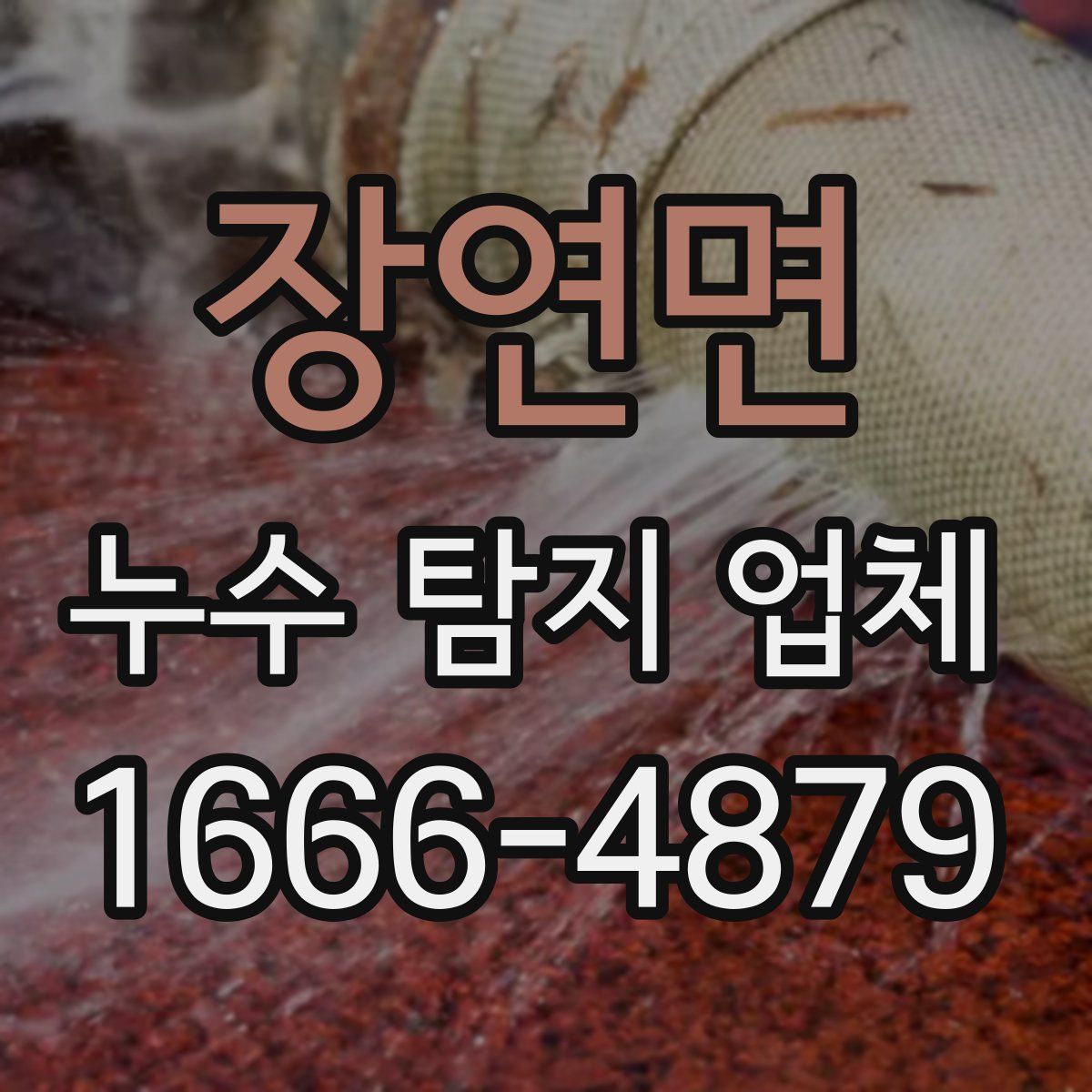 장연면 누수 탐지 업체