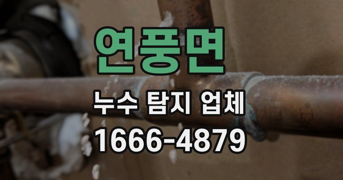 연풍면 누수 탐지 업체