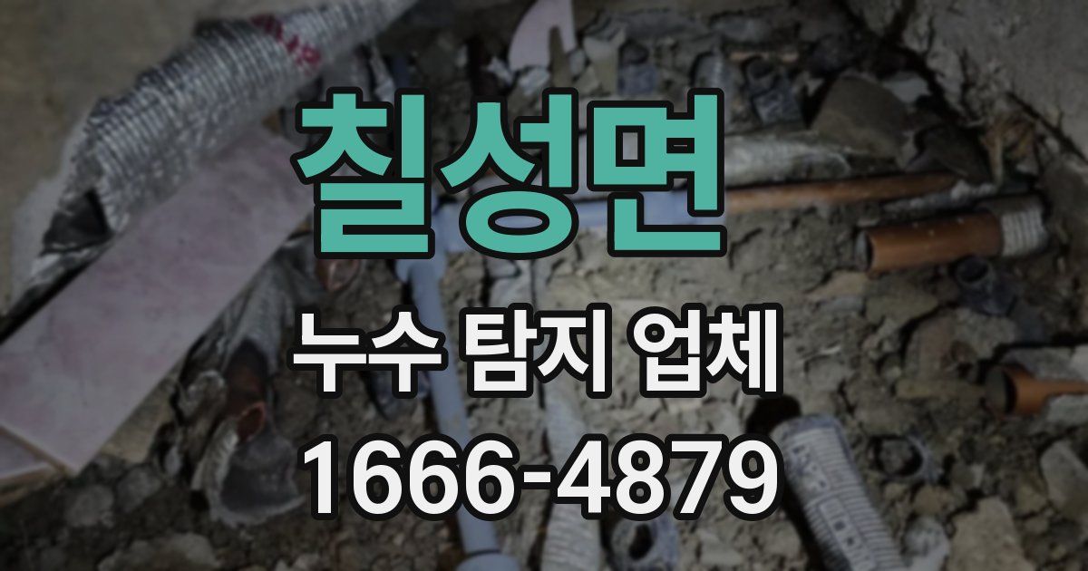 칠성면 누수 탐지 업체