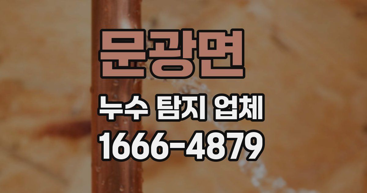 문광면 누수 탐지 업체
