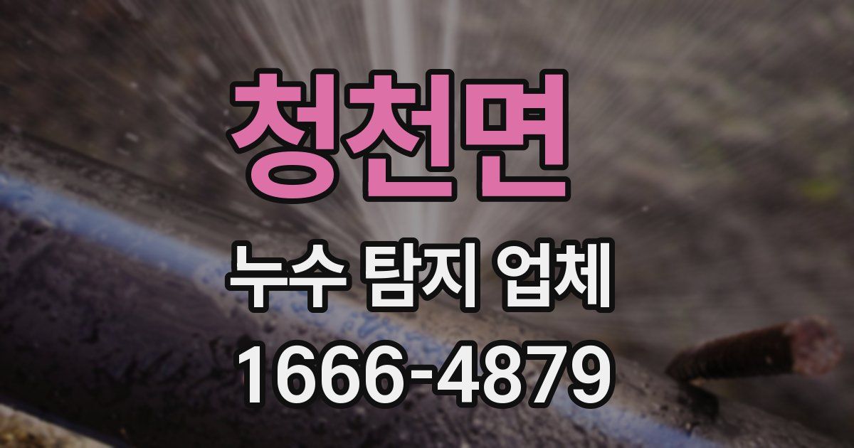 청천면 누수 탐지 업체