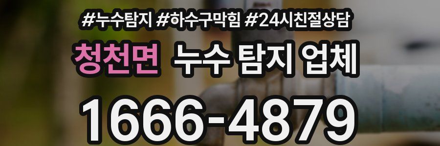 청천면 누수 탐지 업체