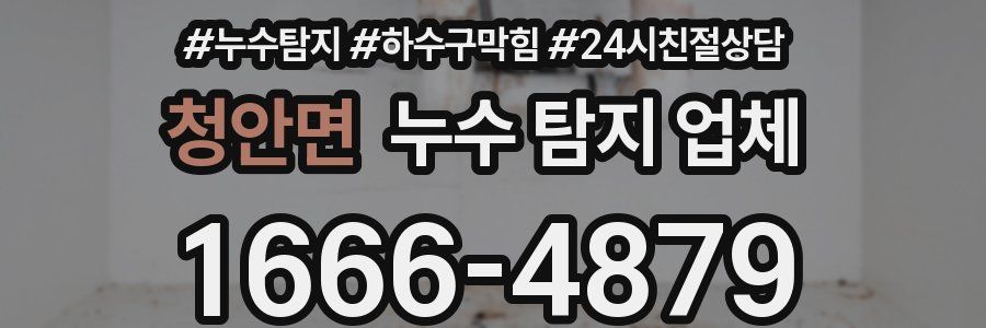 청안면 누수 탐지 업체
