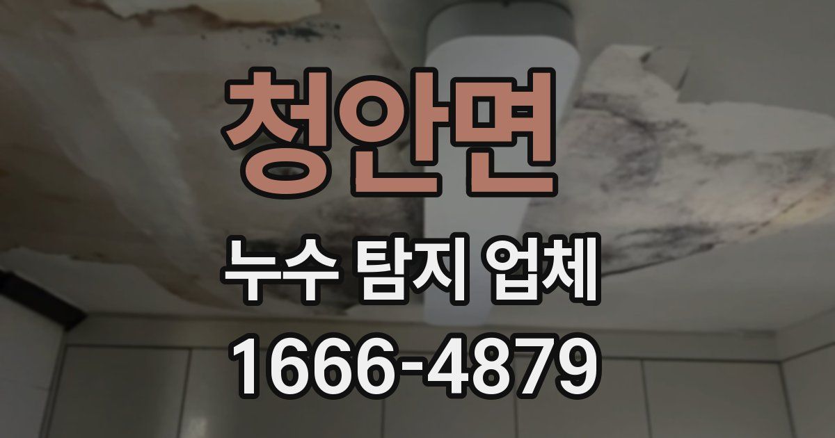 청안면 누수 탐지 업체