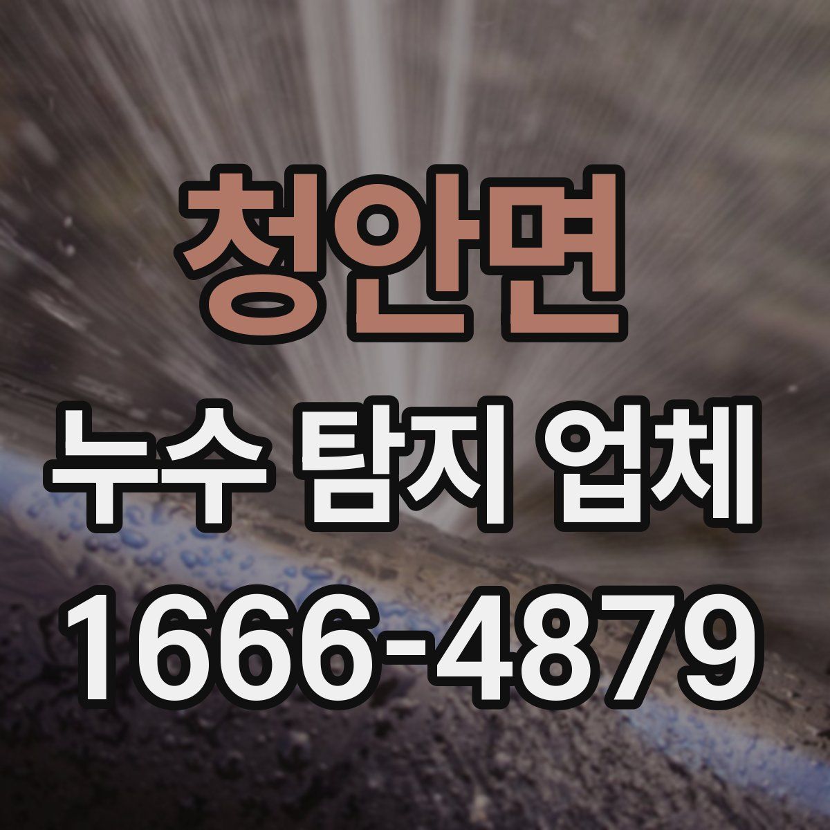 청안면 누수 탐지 업체
