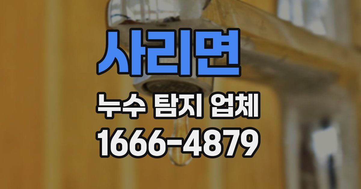 사리면 누수 탐지 업체