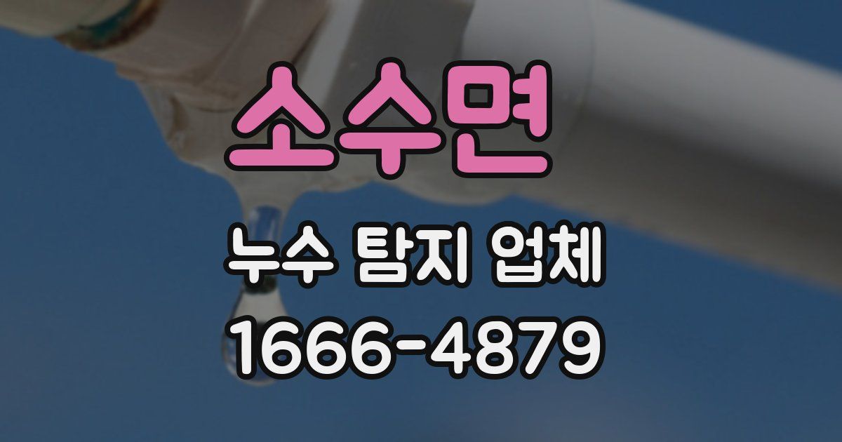 소수면 누수 탐지 업체