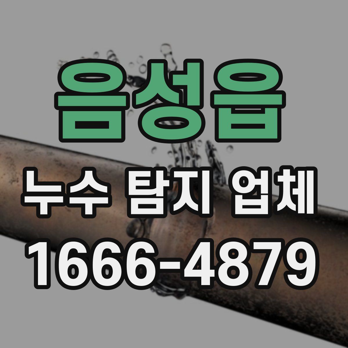 음성읍 누수 탐지 업체