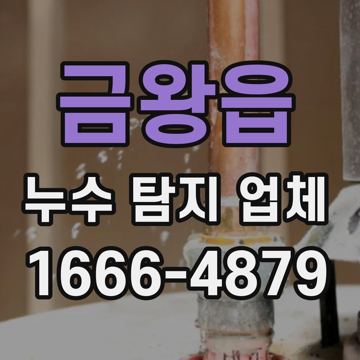금왕읍 누수 탐지 업체