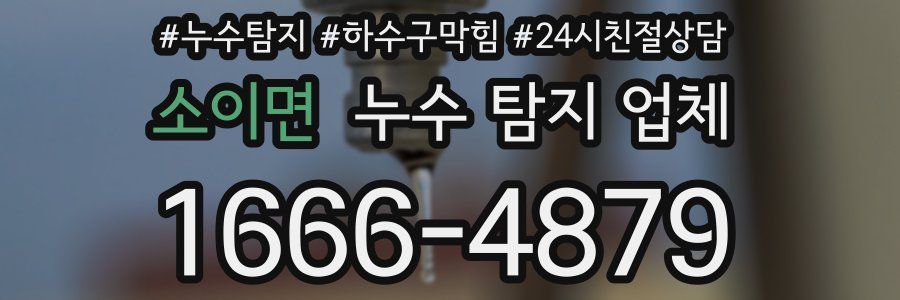 소이면 누수 탐지 업체