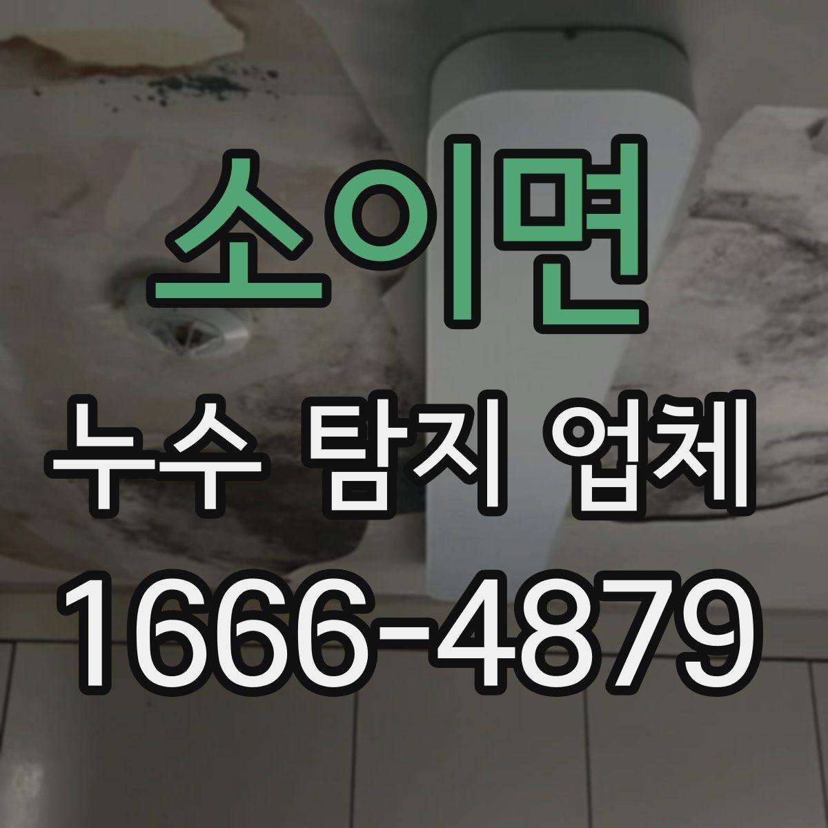소이면 누수 탐지 업체