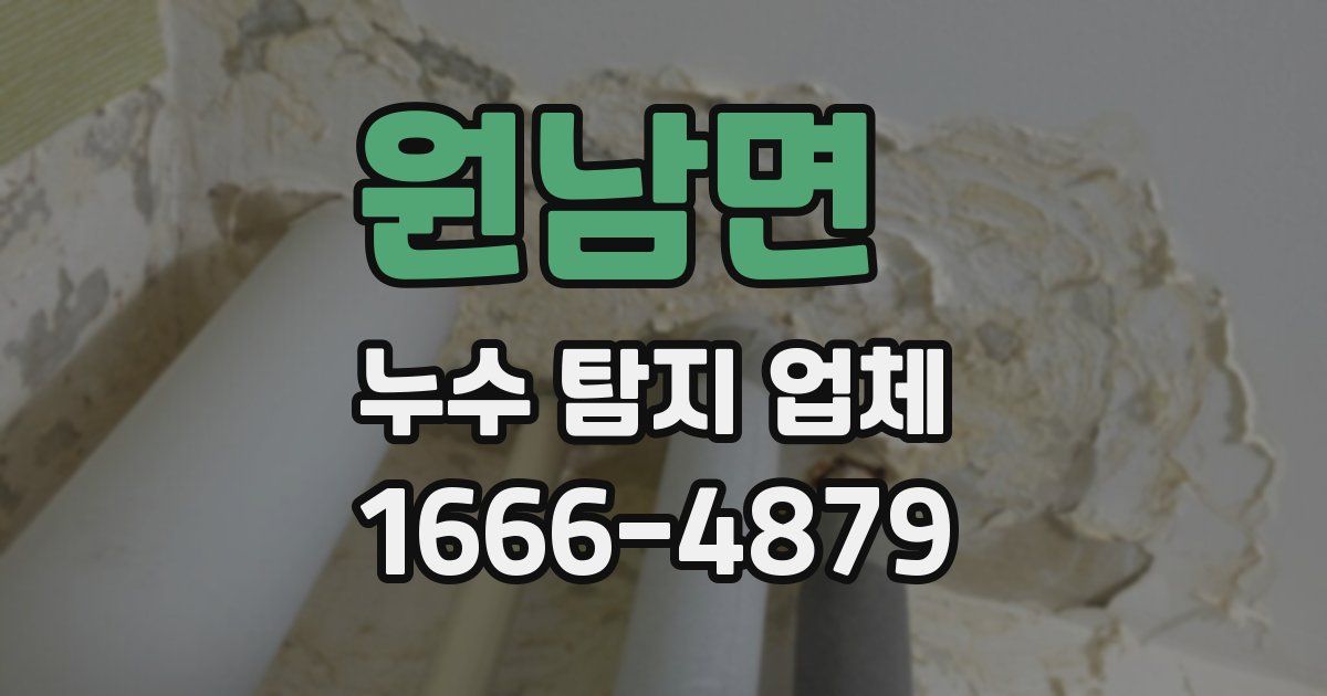 원남면 누수 탐지 업체