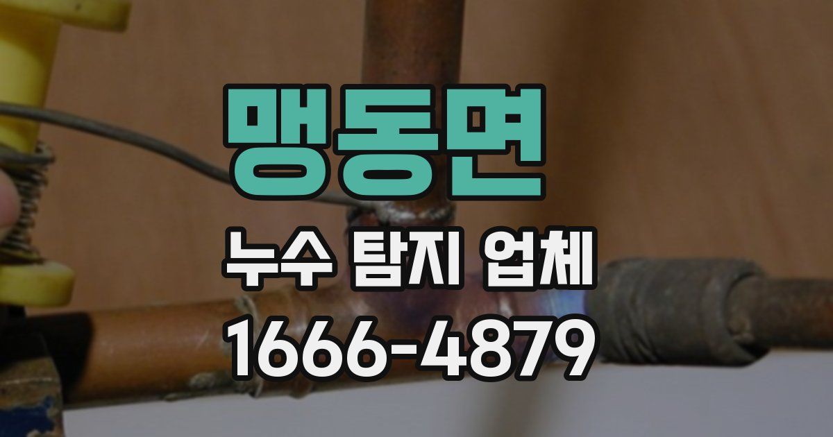 맹동면 누수 탐지 업체