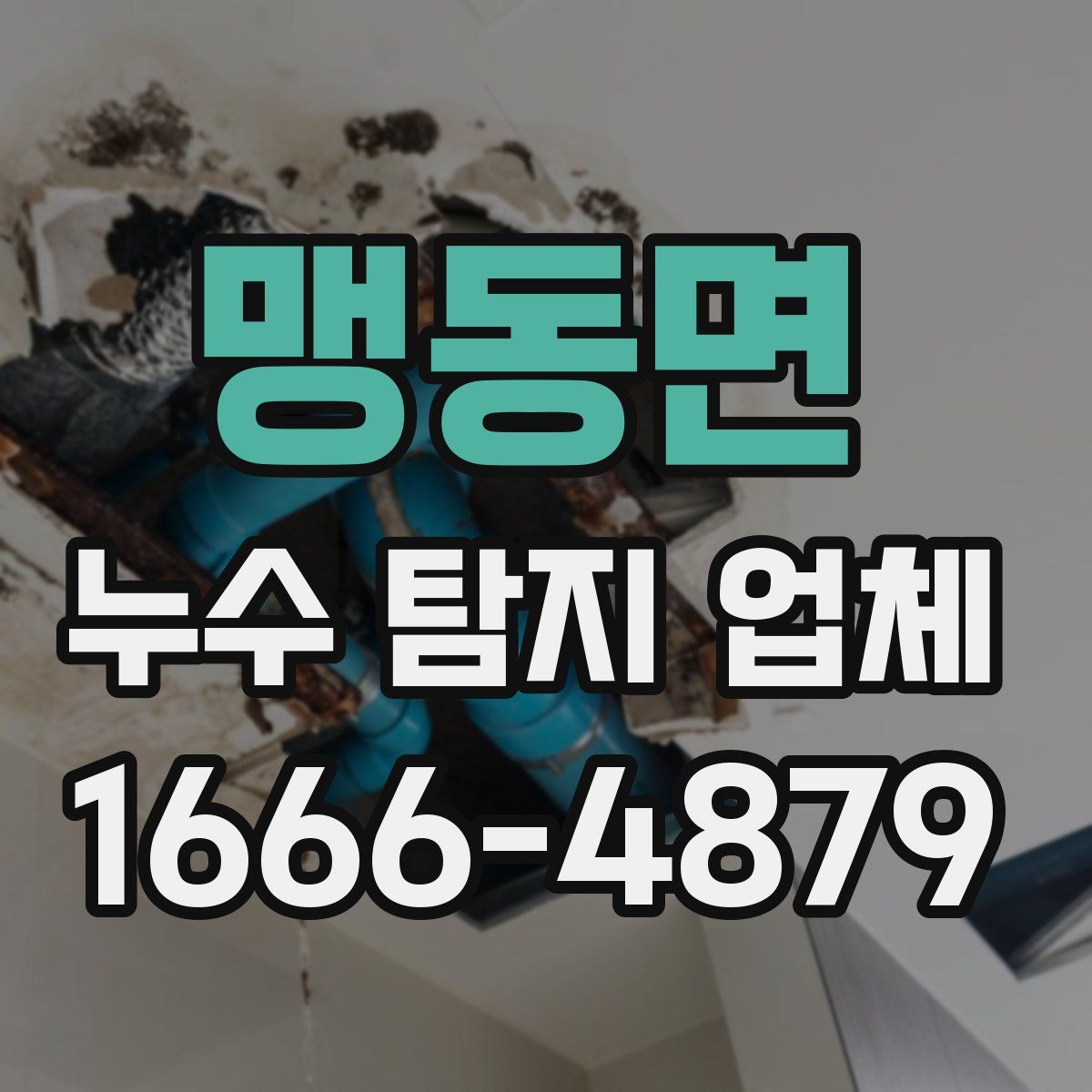 맹동면 누수 탐지 업체