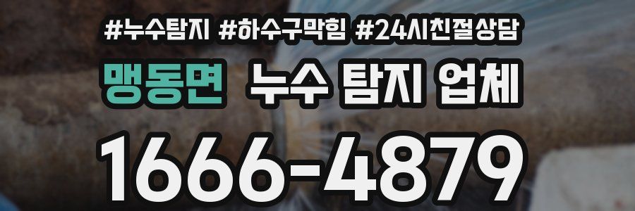 맹동면 누수 탐지 업체