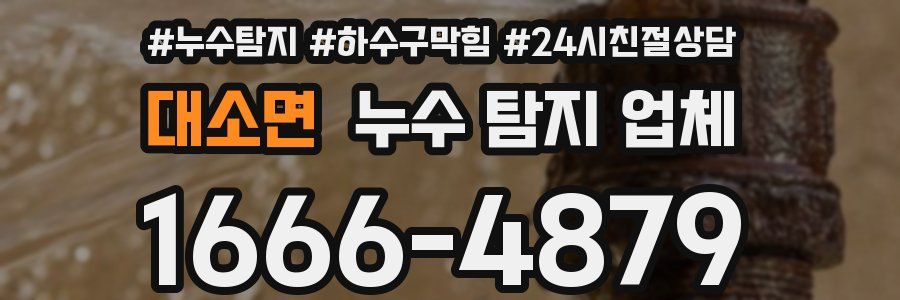 대소면 누수 탐지 업체