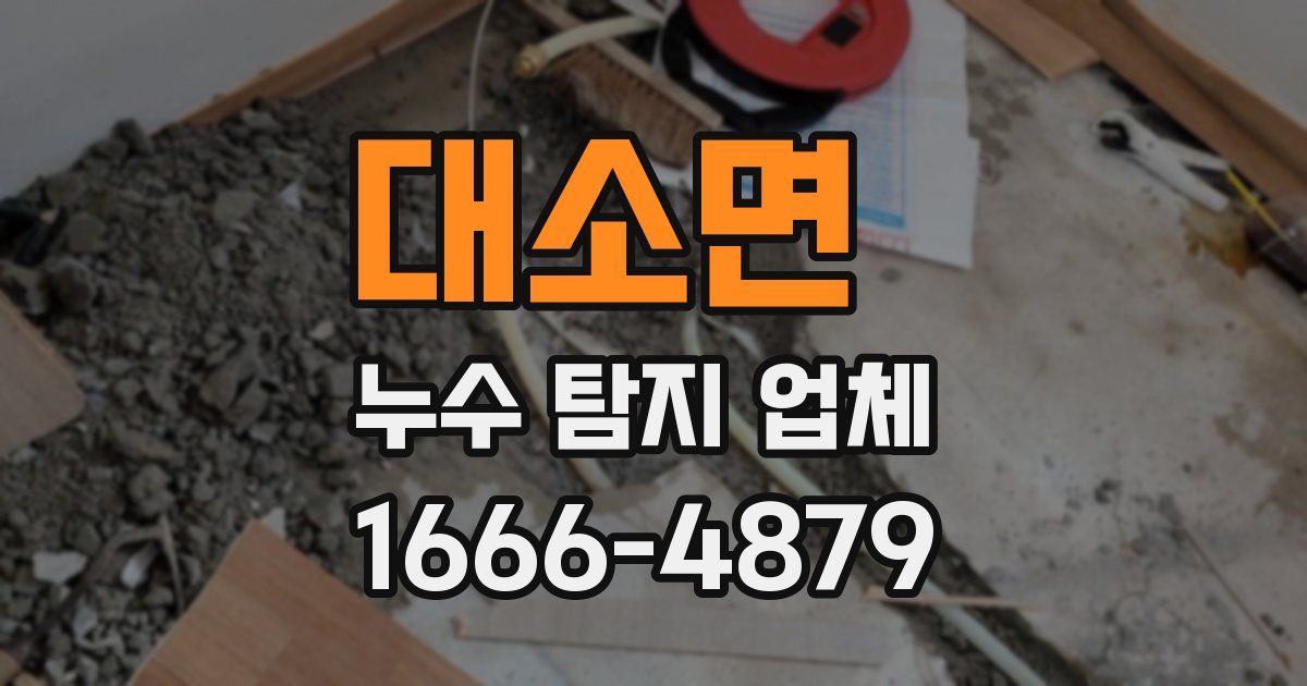 대소면 누수 탐지 업체