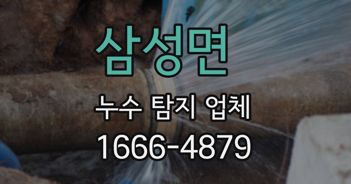 삼성면 누수 탐지 업체