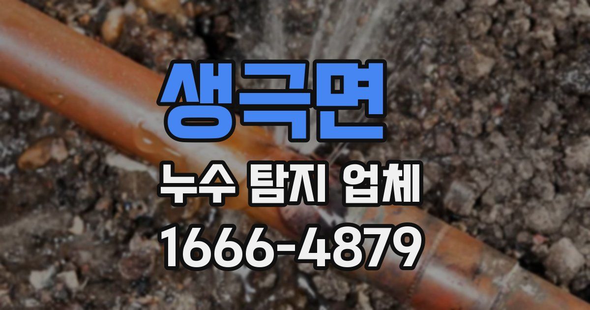 생극면 누수 탐지 업체