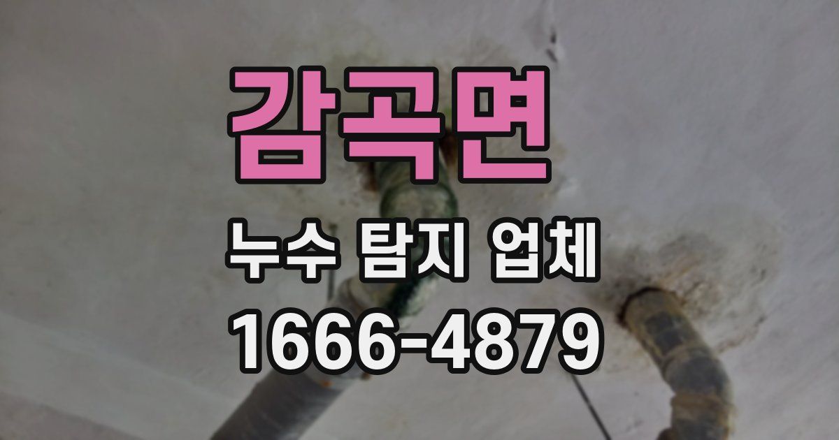 감곡면 누수 탐지 업체