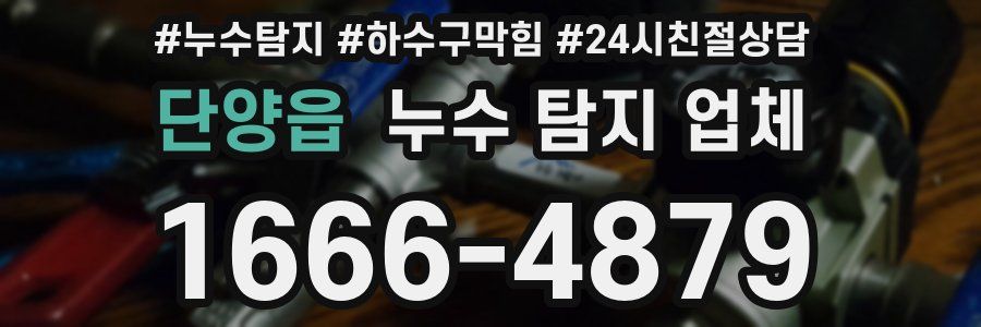 단양읍 누수 탐지 업체
