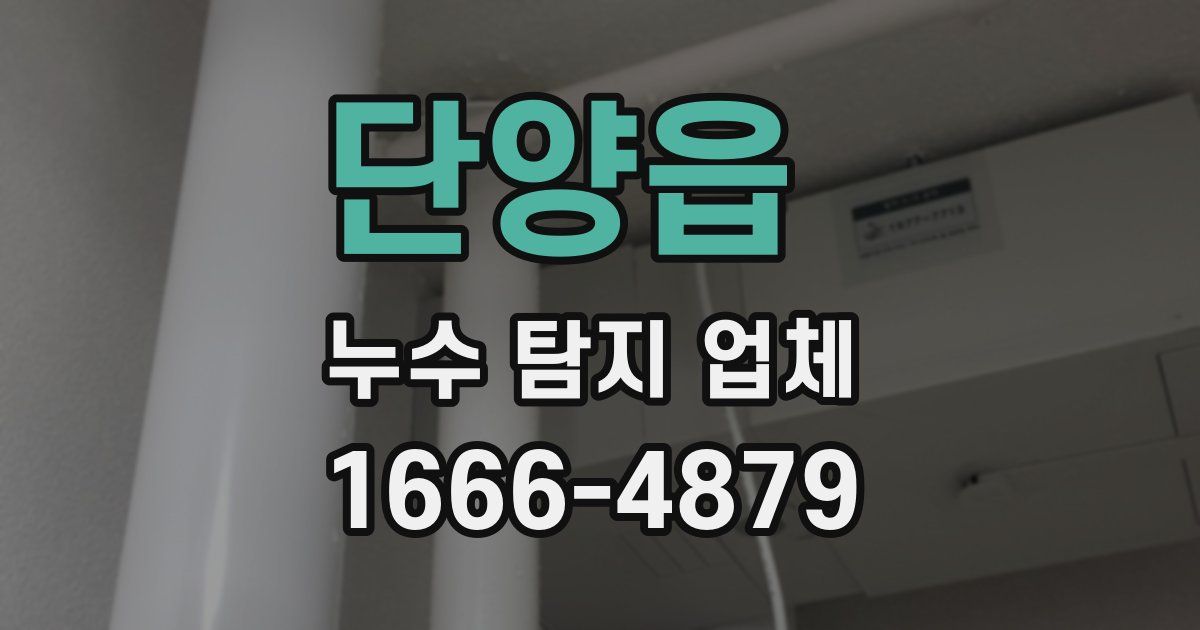 단양읍 누수 탐지 업체
