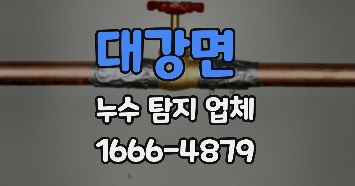 대강면 누수 탐지 업체