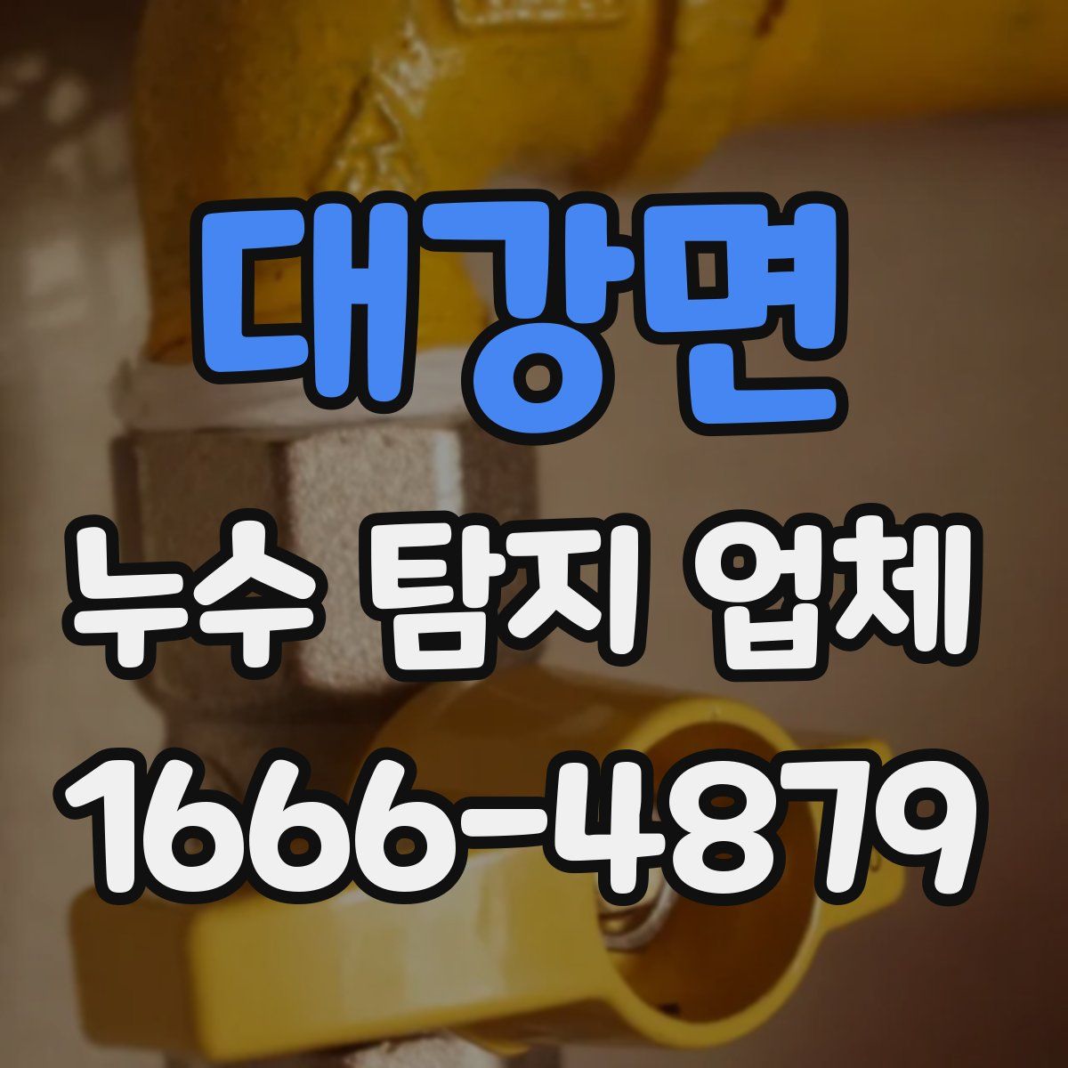 대강면 누수 탐지 업체