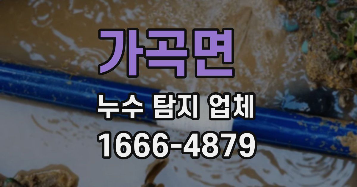 가곡면 누수 탐지 업체