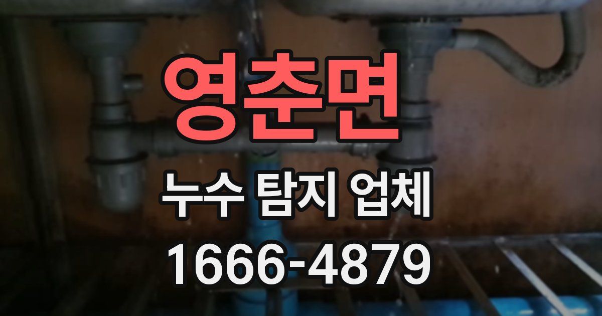 영춘면 누수 탐지 업체
