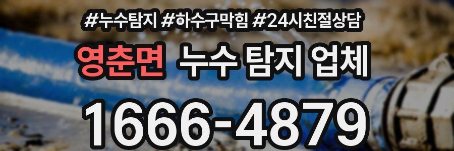 영춘면 누수 탐지 업체