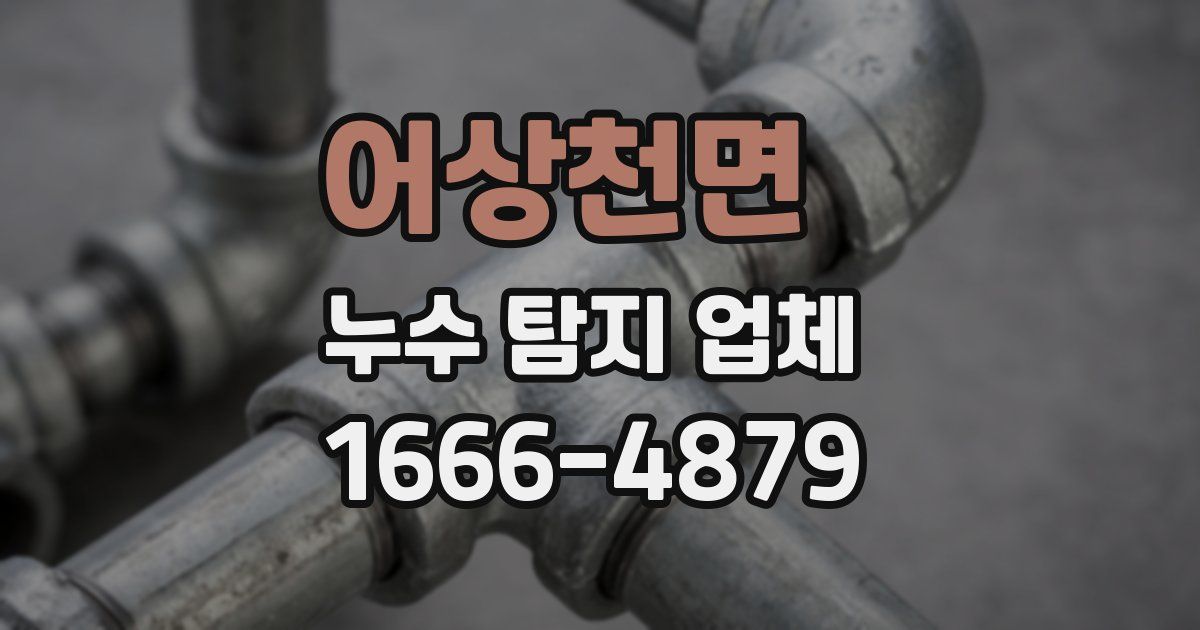 어상천면 누수 탐지 업체