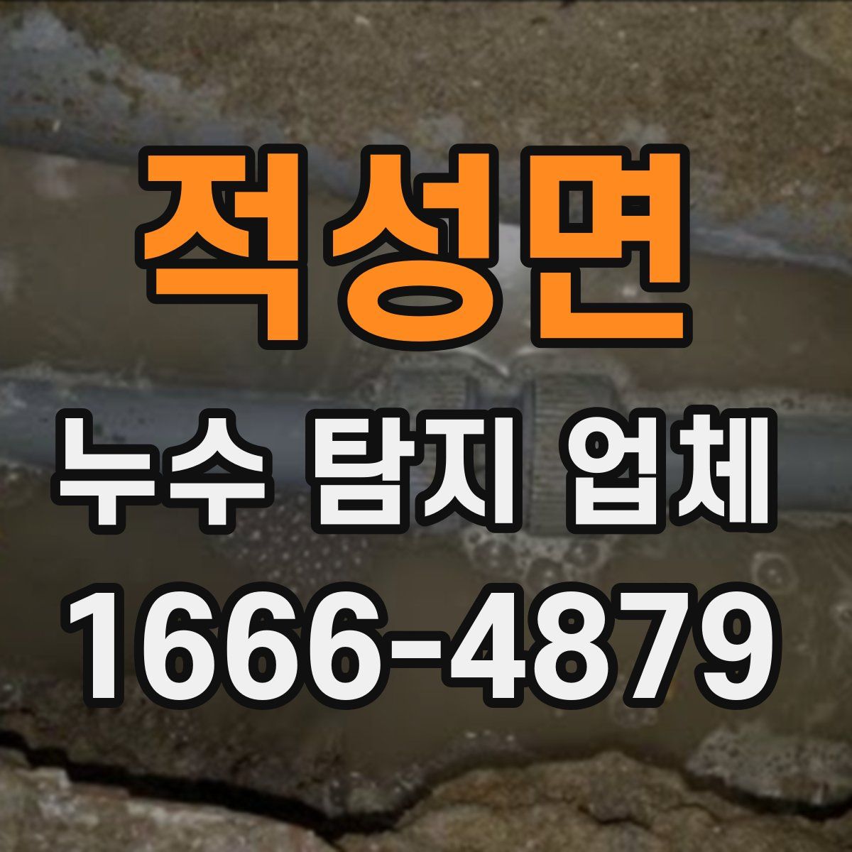 적성면 누수 탐지 업체