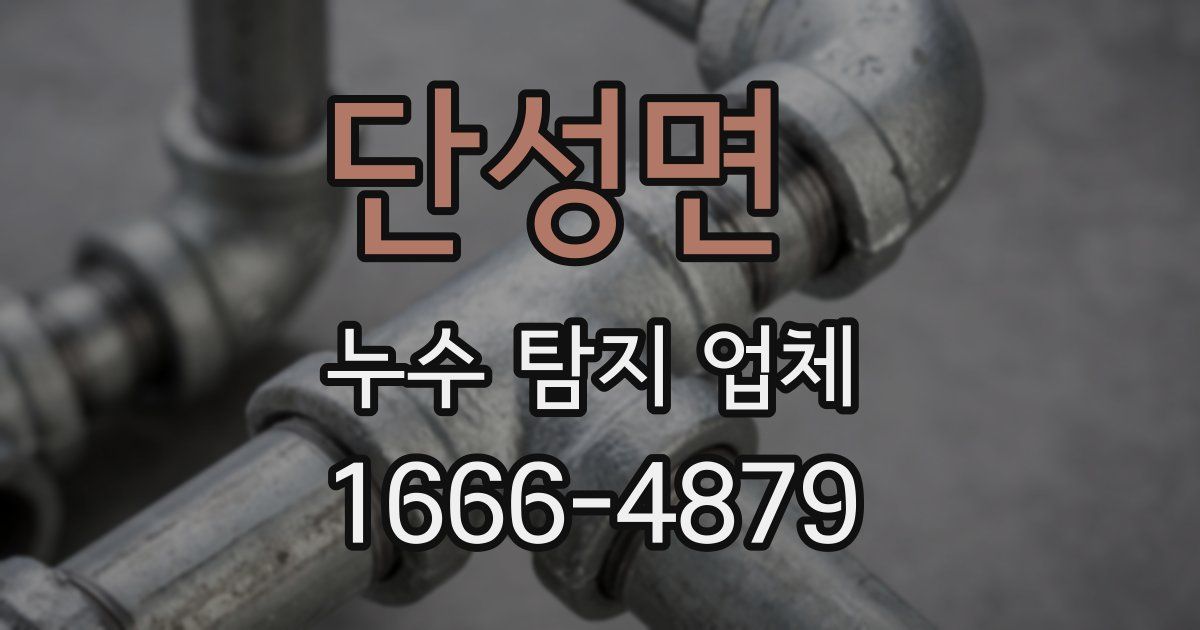 단성면 누수 탐지 업체