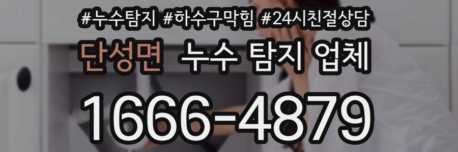 단성면 누수 탐지 업체