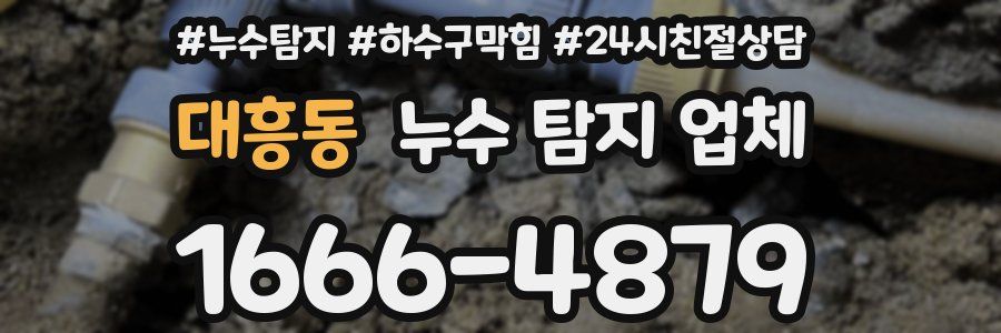 대흥동 누수 탐지 업체