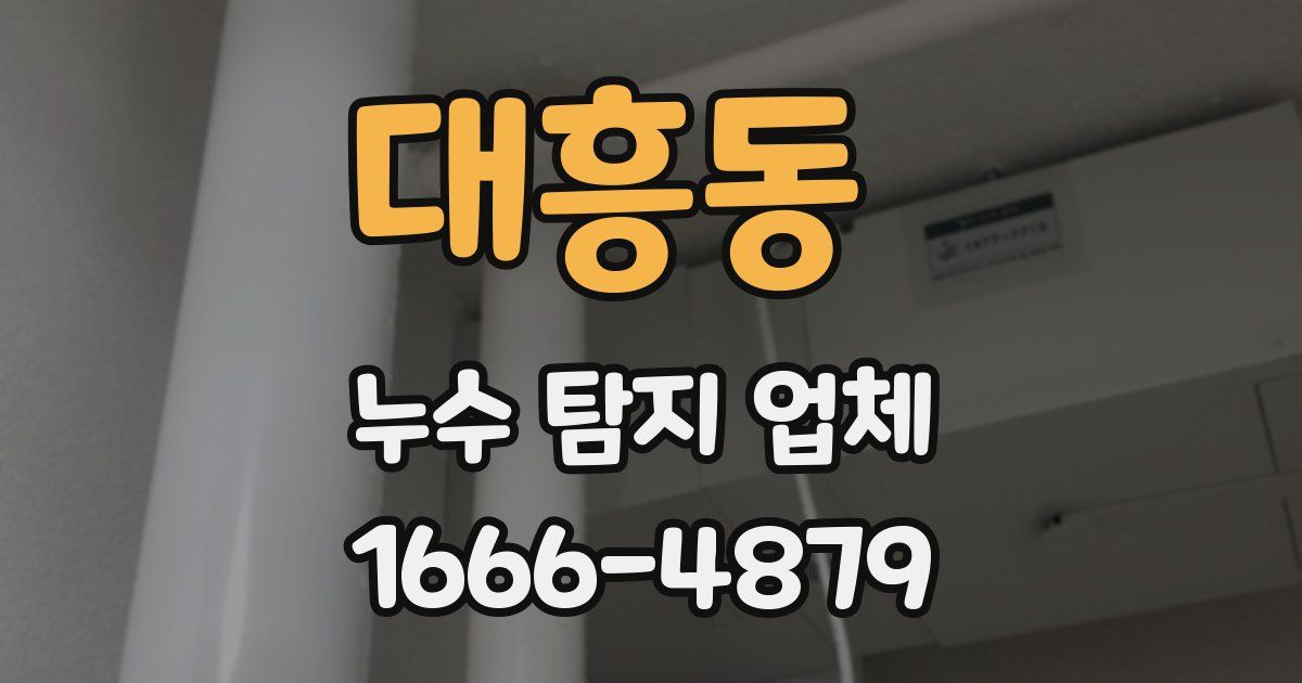 대흥동 누수 탐지 업체