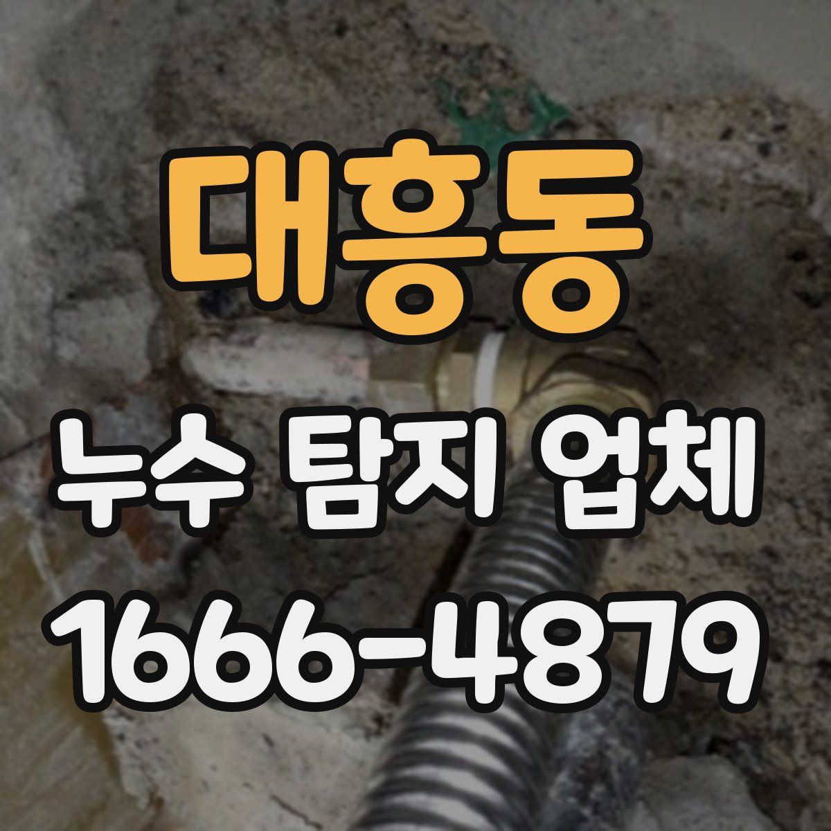 대흥동 누수 탐지 업체
