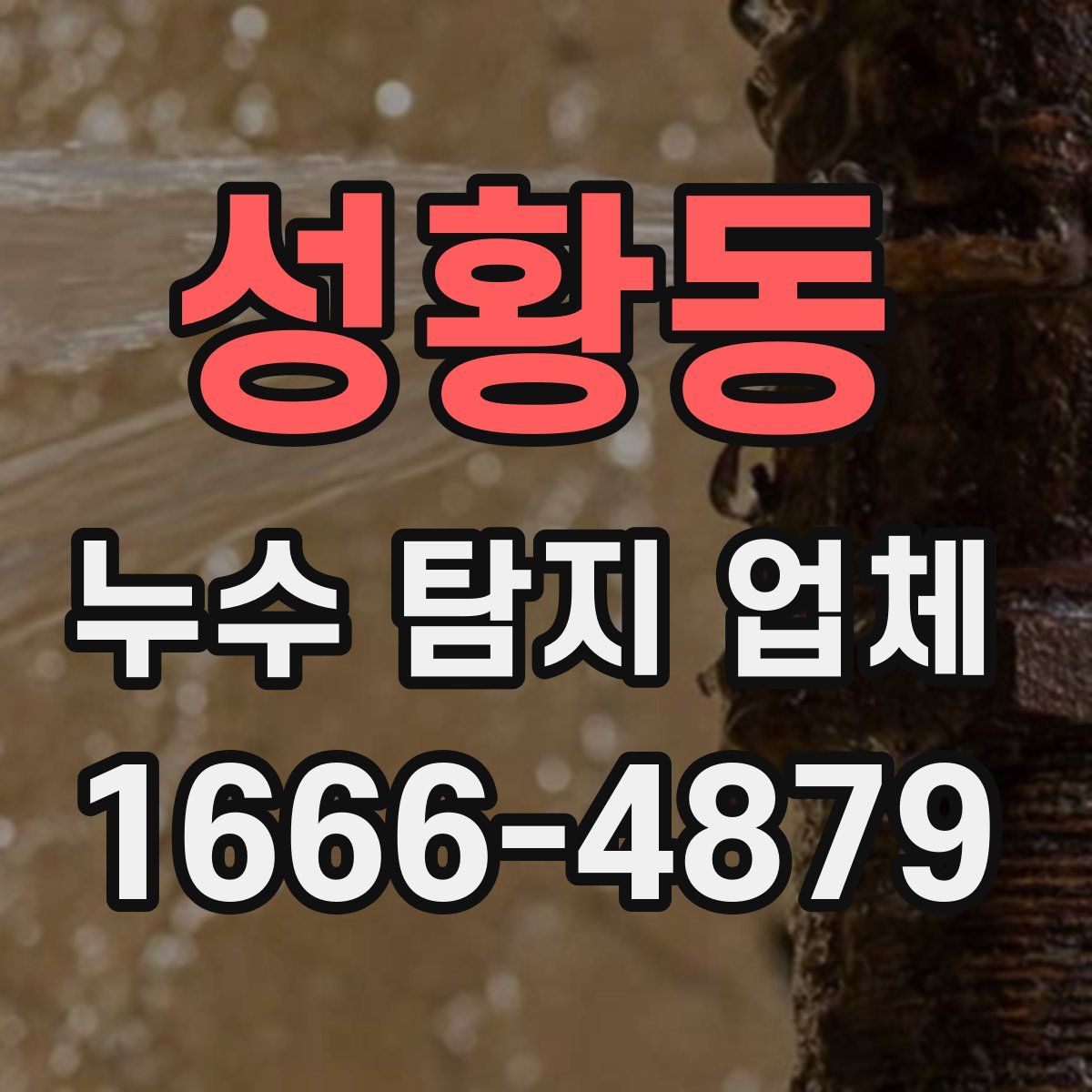 성황동 누수 탐지 업체
