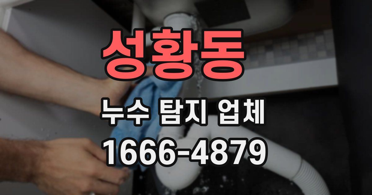 성황동 누수 탐지 업체