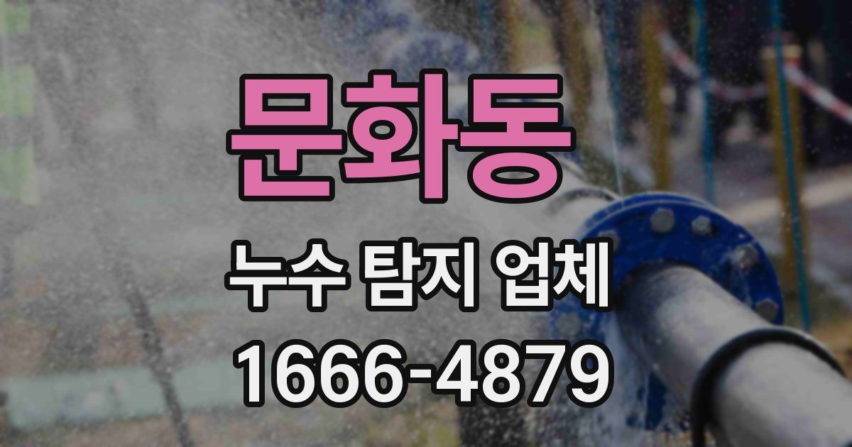 문화동 누수 탐지 업체